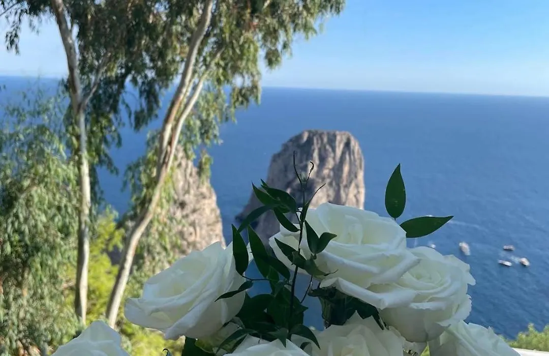 Villacore Capri-1